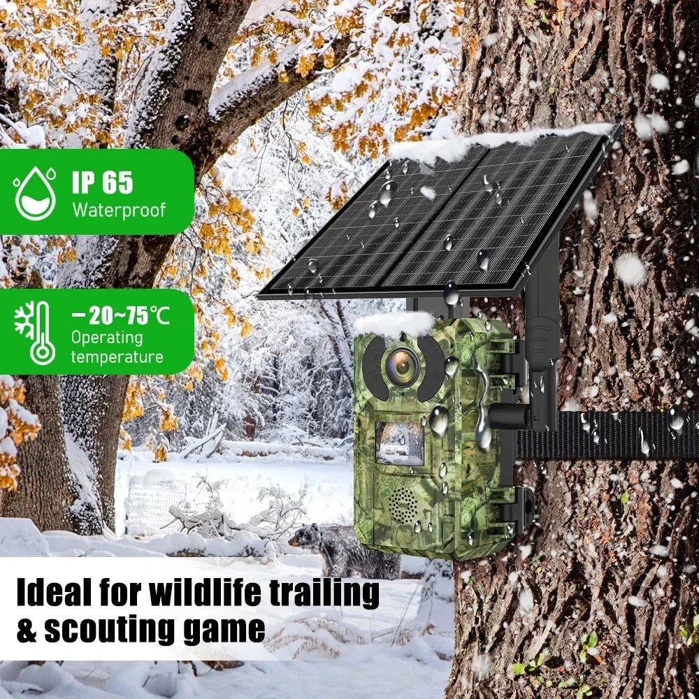 Nyctra Sentinel — Caméra de chasse 4G solaire · Vision nocturne sans lueur