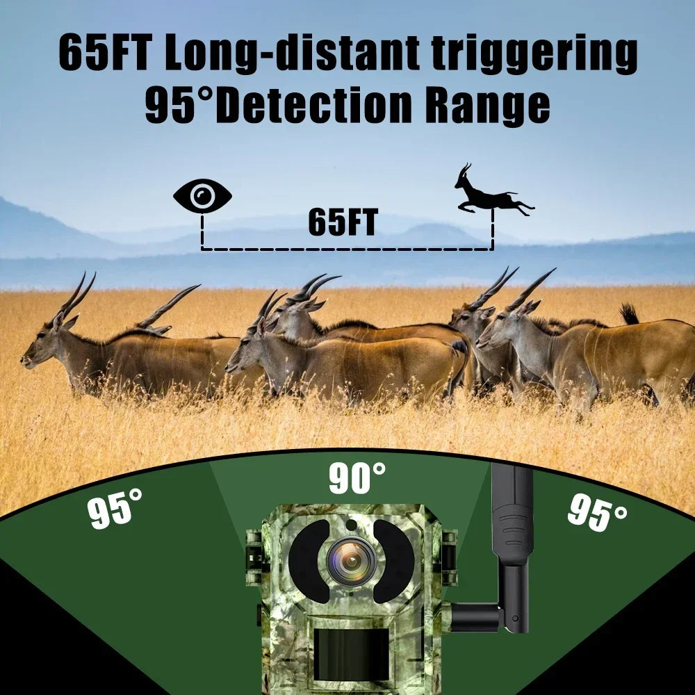 Nyctra Sentinel — Caméra de chasse 4G solaire · Vision nocturne sans lueur